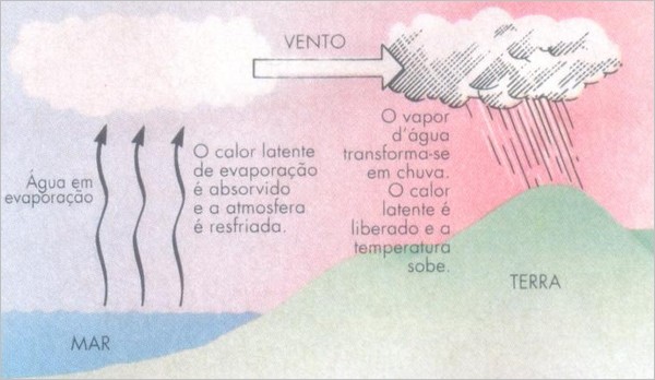 Calor Latente