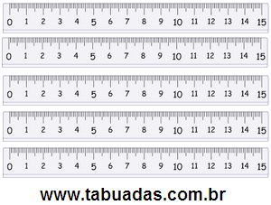 5 Réguas de 15 cm