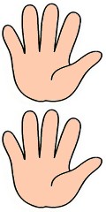 Mãos Mostrando 10 Dedos