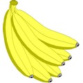 Cacho de Bananas