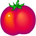 Tomate