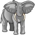 Elefante